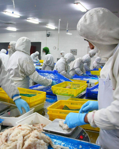 烽润食品有限公司