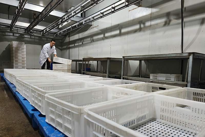 生猪屠宰工作车间