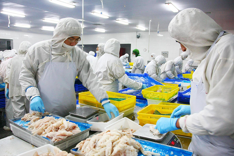 农副产品加工车间