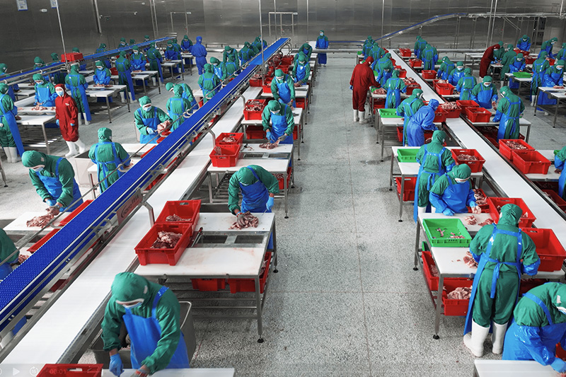 农副产品加工车间